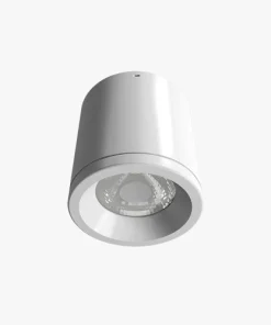 Đèn LED Downlight nổi trần NT01